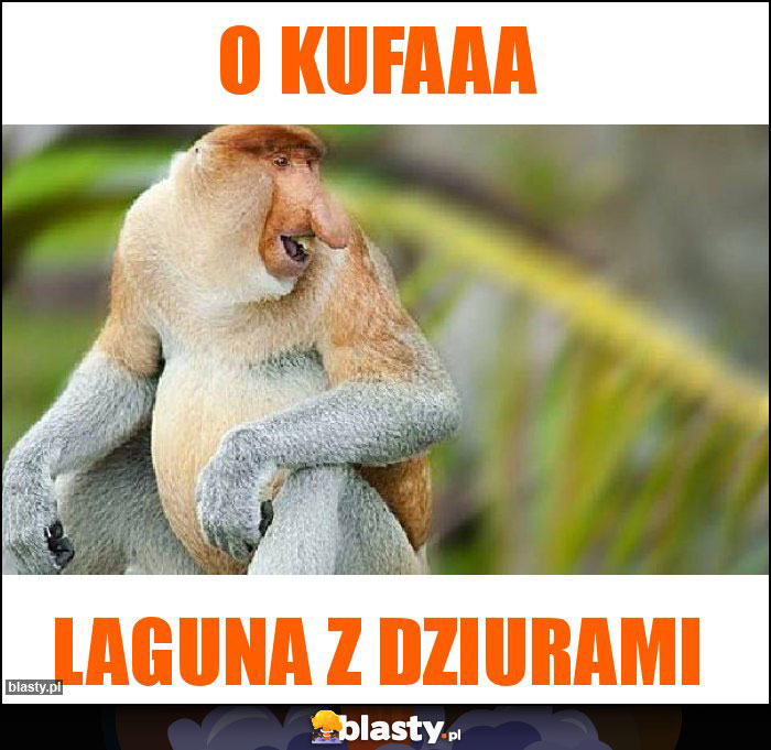 O kufaaa