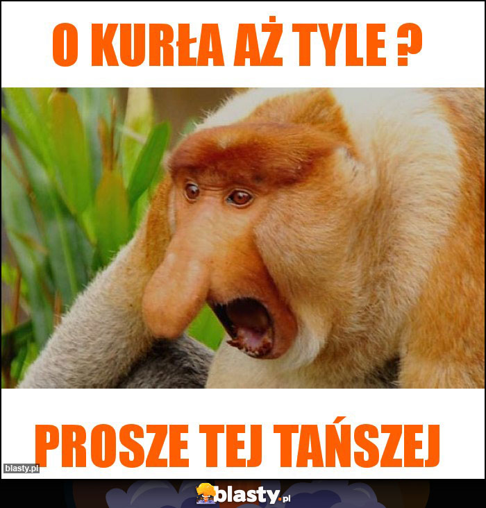 O kurła aż tyle ?