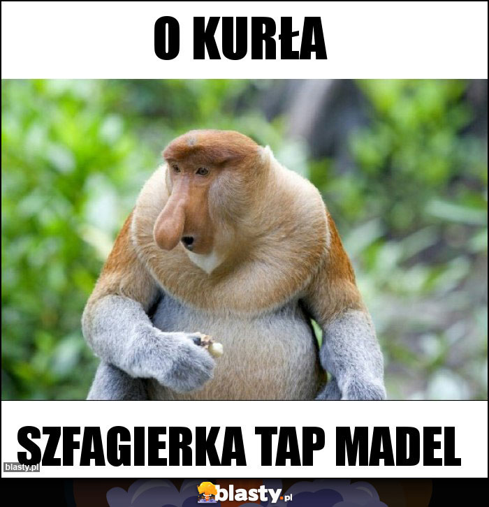 O Kurła