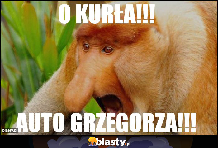 O KURŁA!!!