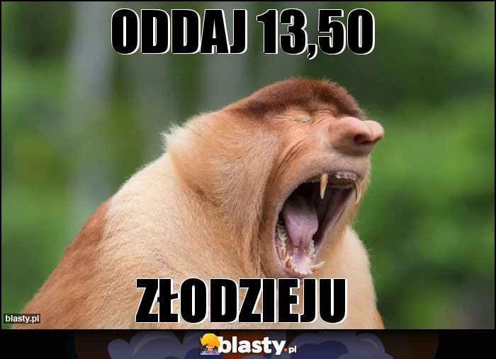 ODDAJ 13,50