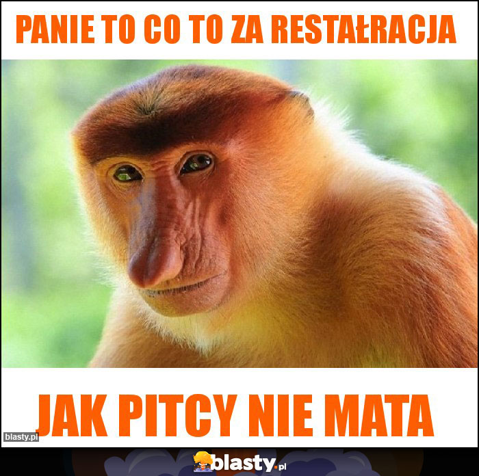 Panie to co to za restałracja