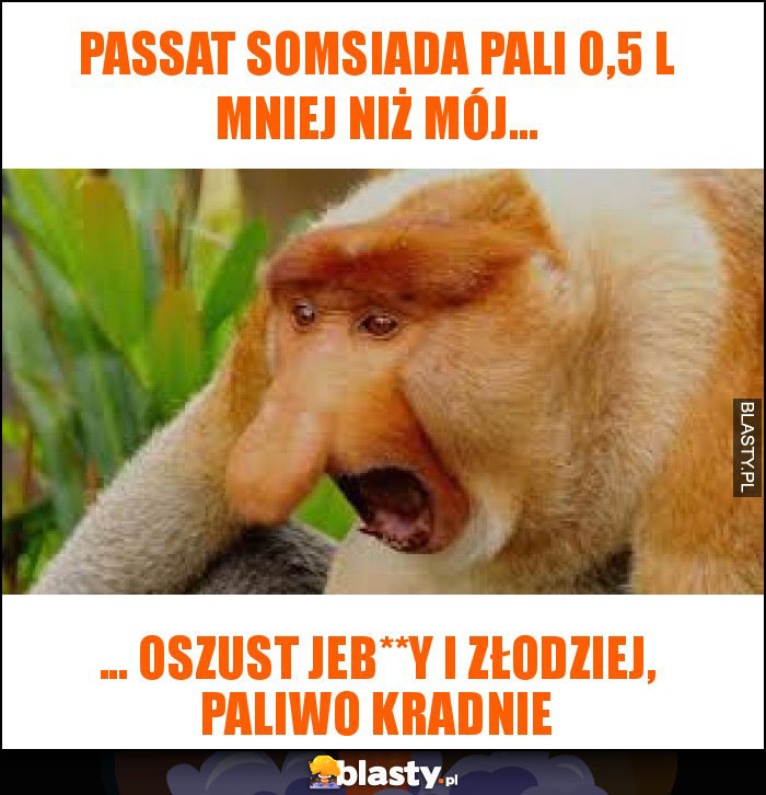 Passat somsiada pali 0,5 l mniej niż mój...