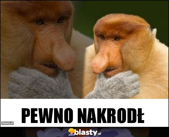 Pewno nakrodł