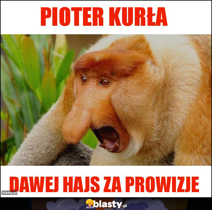 PIOTER KURŁA