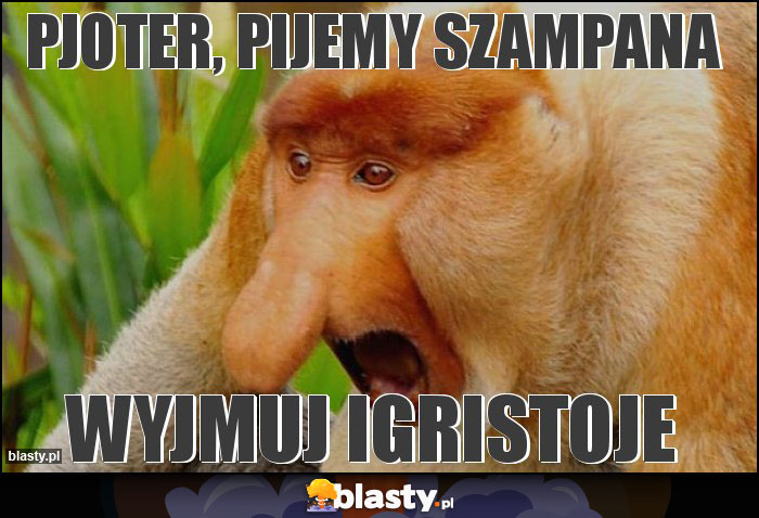 Pjoter, pijemy szampana