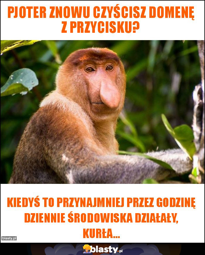 Pjoter znowu czyścisz domenę z przycisku?