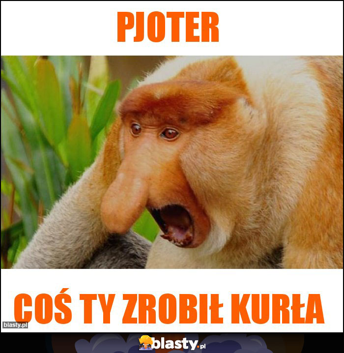 PJOTER