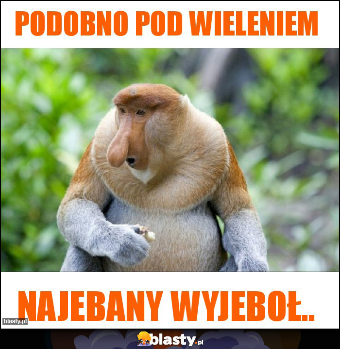 PODOBNO POD WIELENIEM