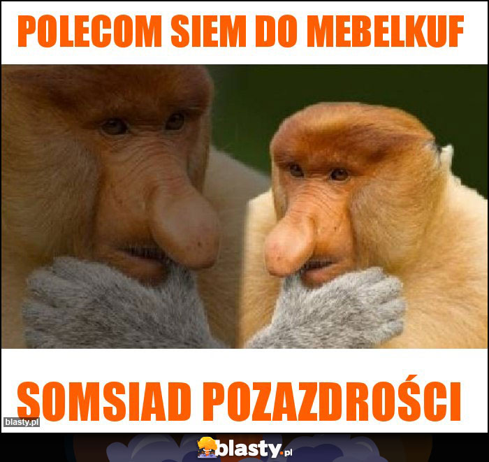 Polecom siem do mebelkuf