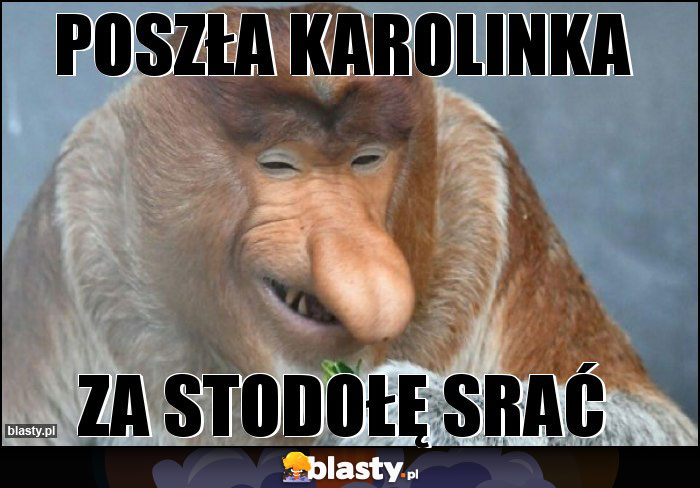 Poszła Karolinka