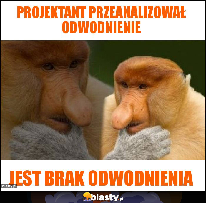 PROJEKTANT PRZEANALIZOWAŁ ODWODNIENIE