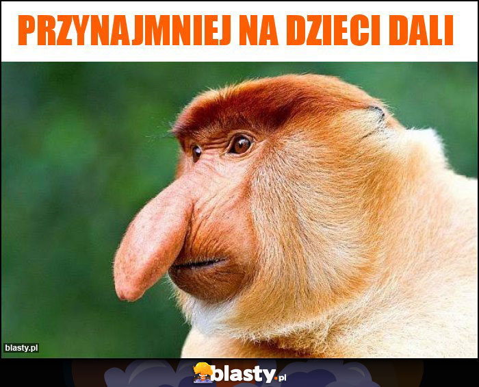 PRZYNAJMNIEJ NA DZIECI DALI