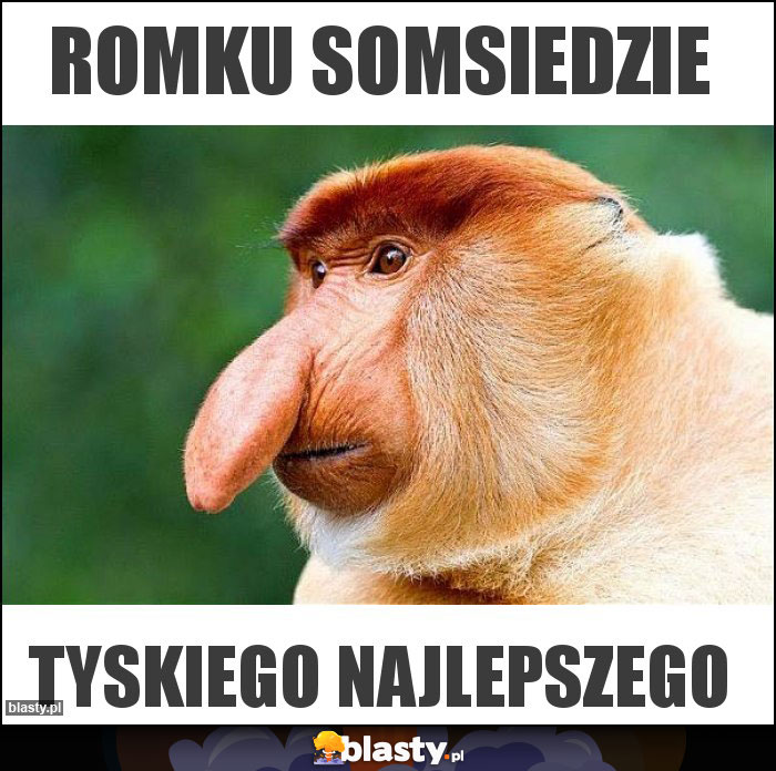 Romku somsiedzie