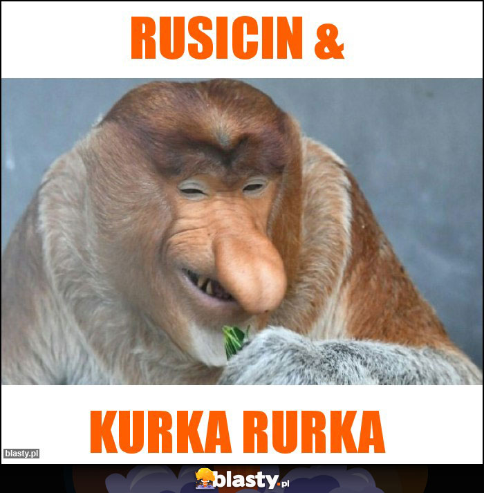 Rusicin &