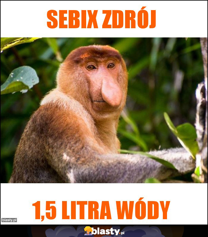 SEBIX ZDRÓJ