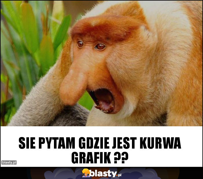 Sie pytam gdzie jest kurwa grafik ??