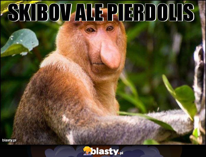 Skibov Ale Pierdolis