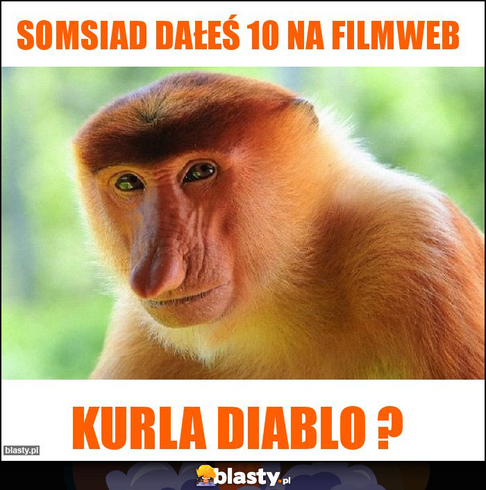 Somsiad dałeś 10 na filmweb