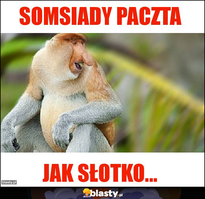 Somsiady paczta
