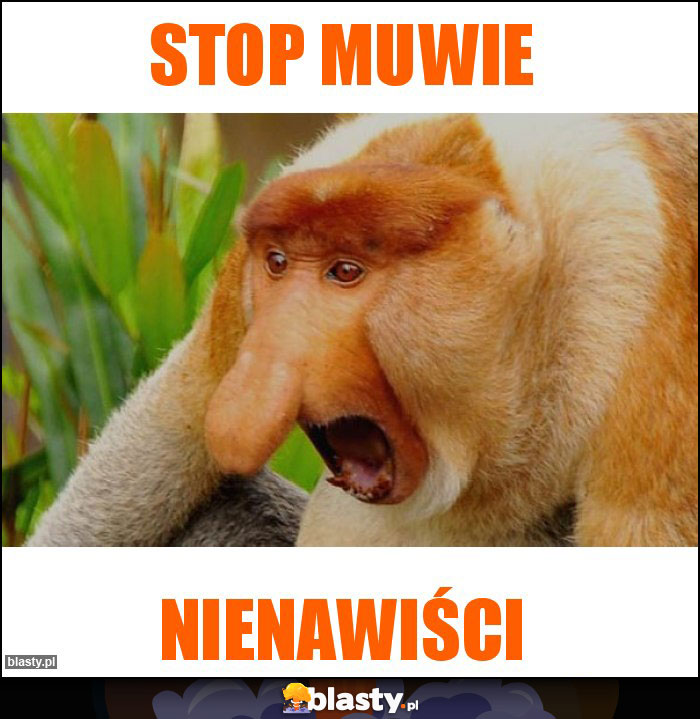 STOP Muwie