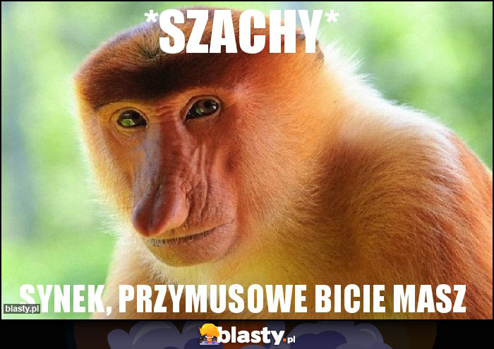 *szachy*