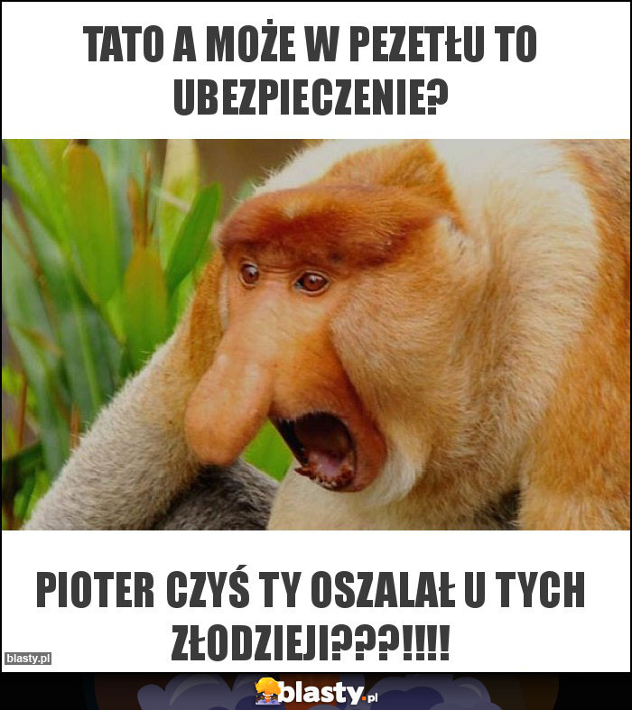 Tato a może w Pezetłu to ubezpieczenie?