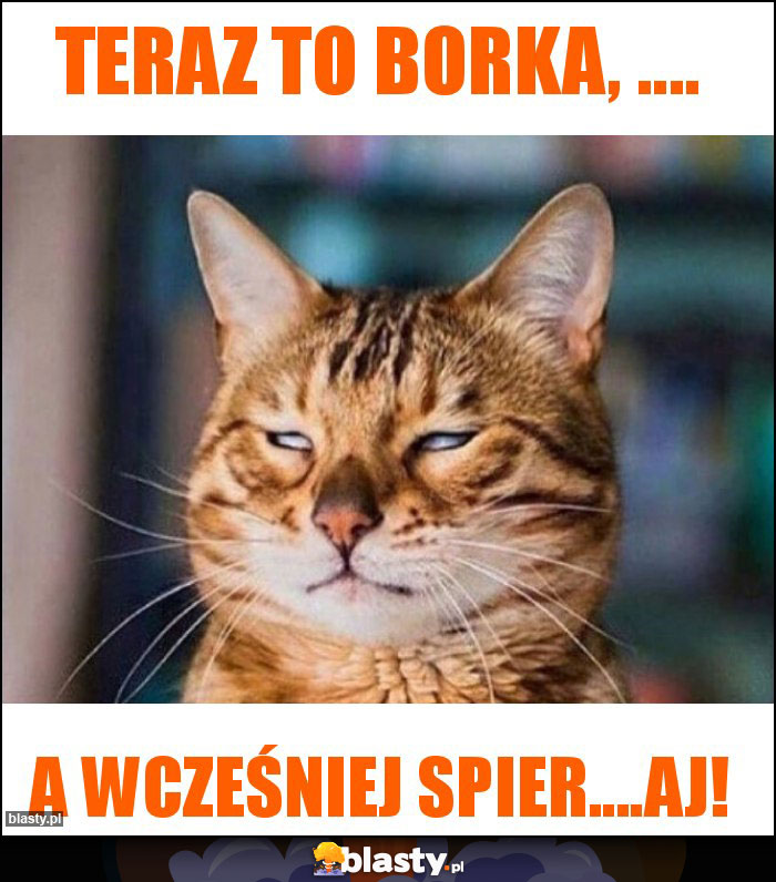 Teraz to Borka, ....