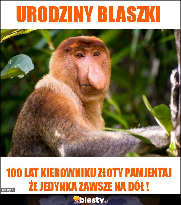 Urodziny Blaszki