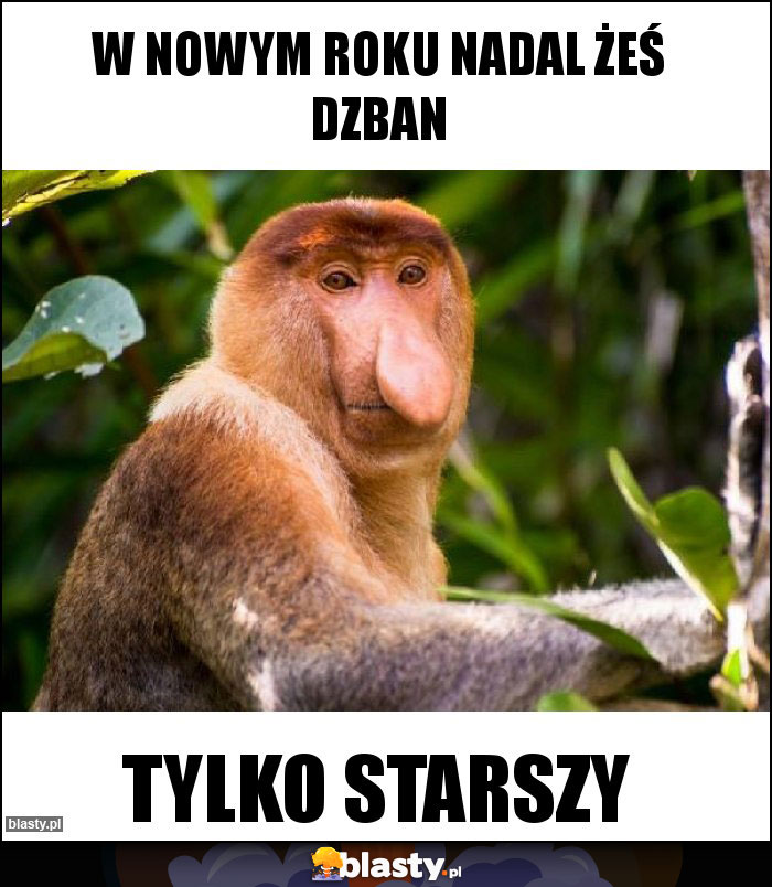 W nowym roku nadal żeś dzban