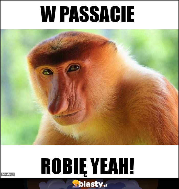 W passacie