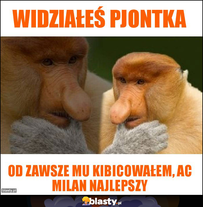 Widziałeś Pjontka