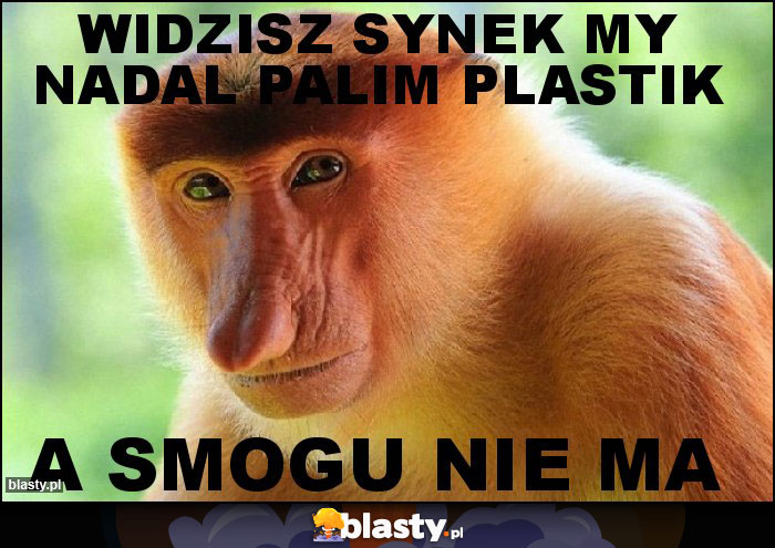 Widzisz synek my nadal palim plastik