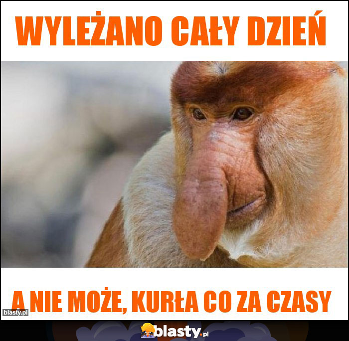 Wyleżano cały dzień