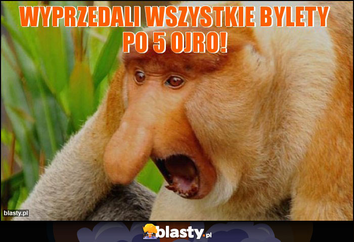 Wyprzedali wszystkie bylety po 5 ojro!