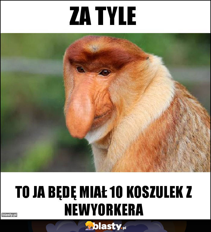 Za tyle