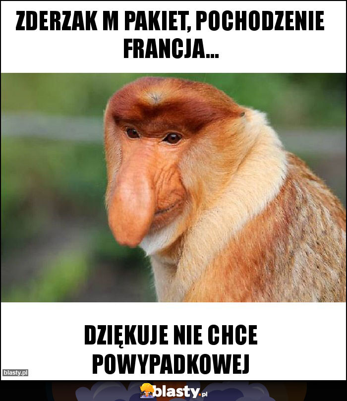 zderzak m pakiet, pochodzenie Francja...