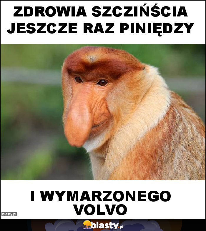 Zdrowia Szczińścia Jeszcze raz Piniędzy