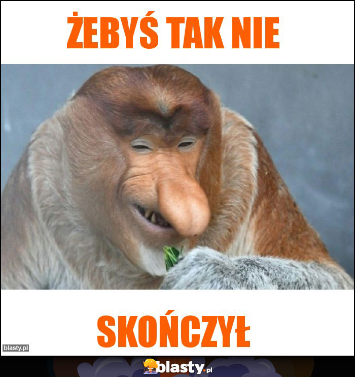 Żebyś tak nie