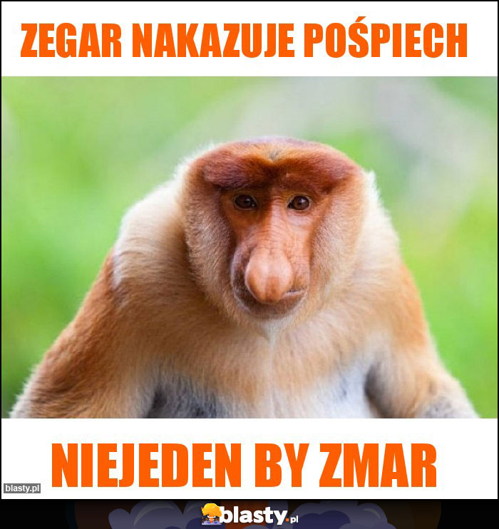 Zegar nakazuje pośpiech