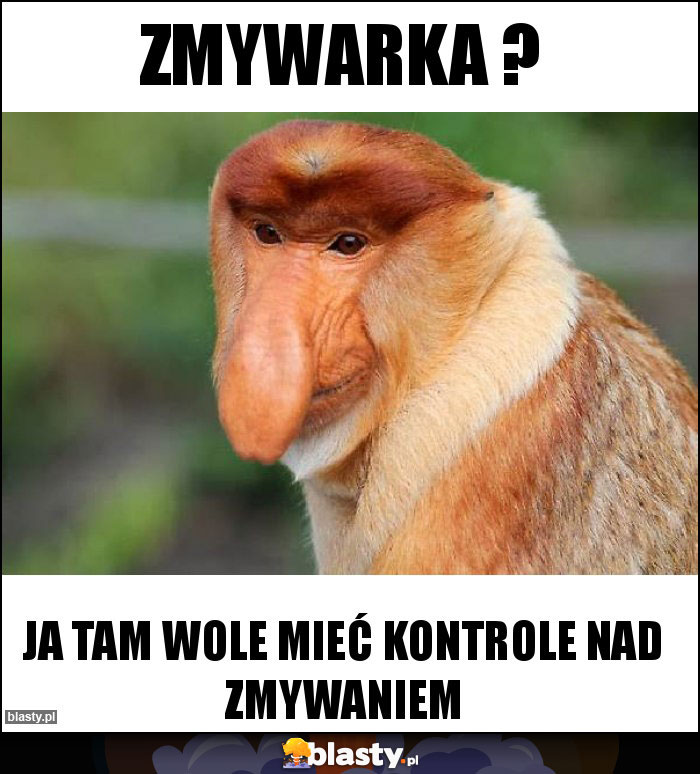 Zmywarka ?