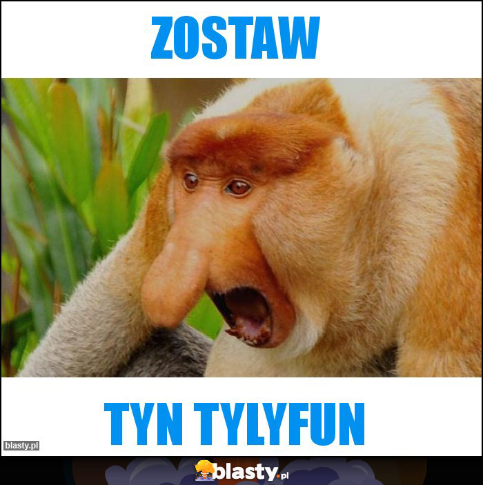 ZOSTAW