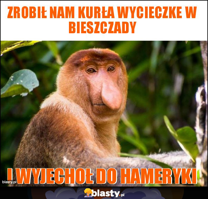 zrobił nam kurła wycieczke w bieszczady