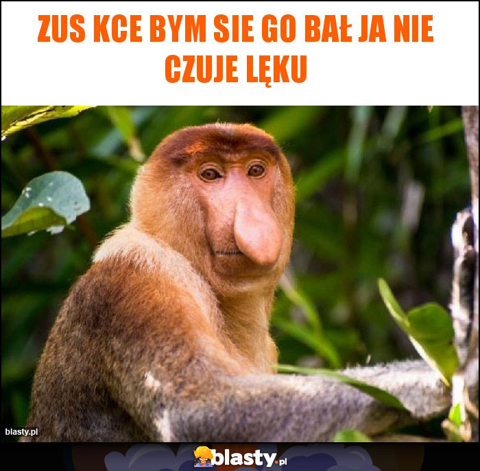 Zus kce bym sie go bał ja nie czuje lęku