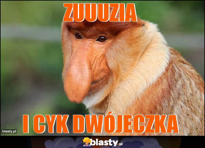 Zuuuzia