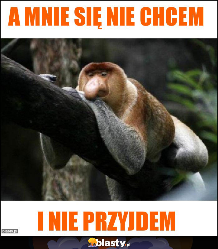 A mnie się nie chcem