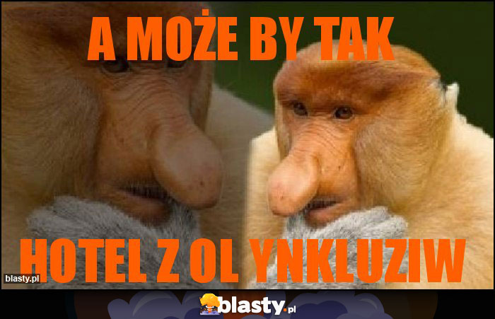 A może by tak