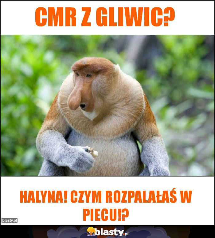 CMR z Gliwic?