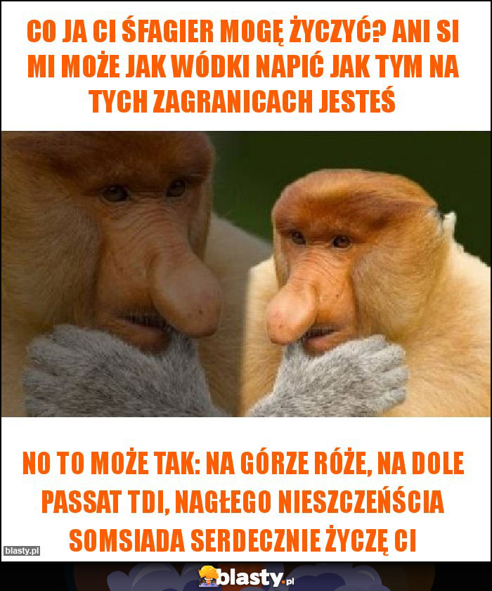 Co ja ci śfagier mogę życzyć? Ani si mi może jak wódki napić jak tym na tych zagranicaCH jesteś