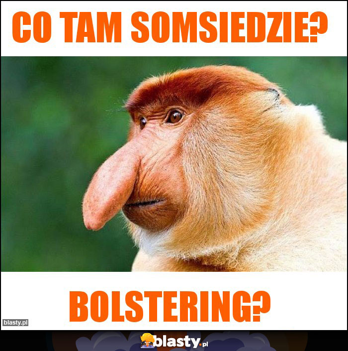 Co tam somsiedzie?